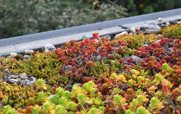 the cost of Grizebeck green roof installation