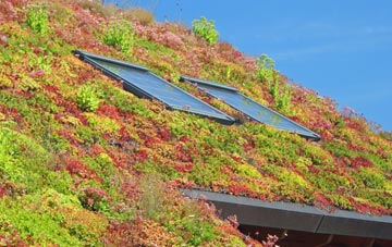 Grizebeck living roof systems